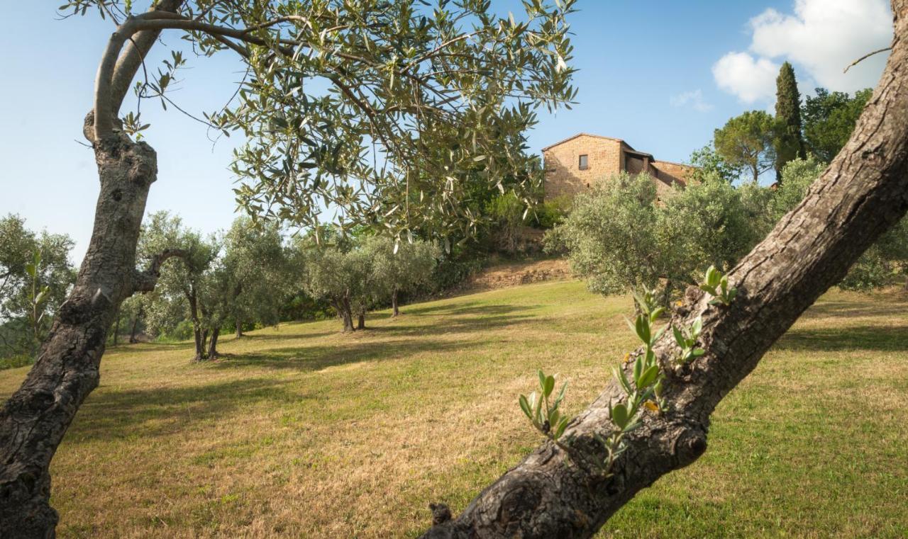 Holiday Home Arpicella Pienza Dış mekan fotoğraf