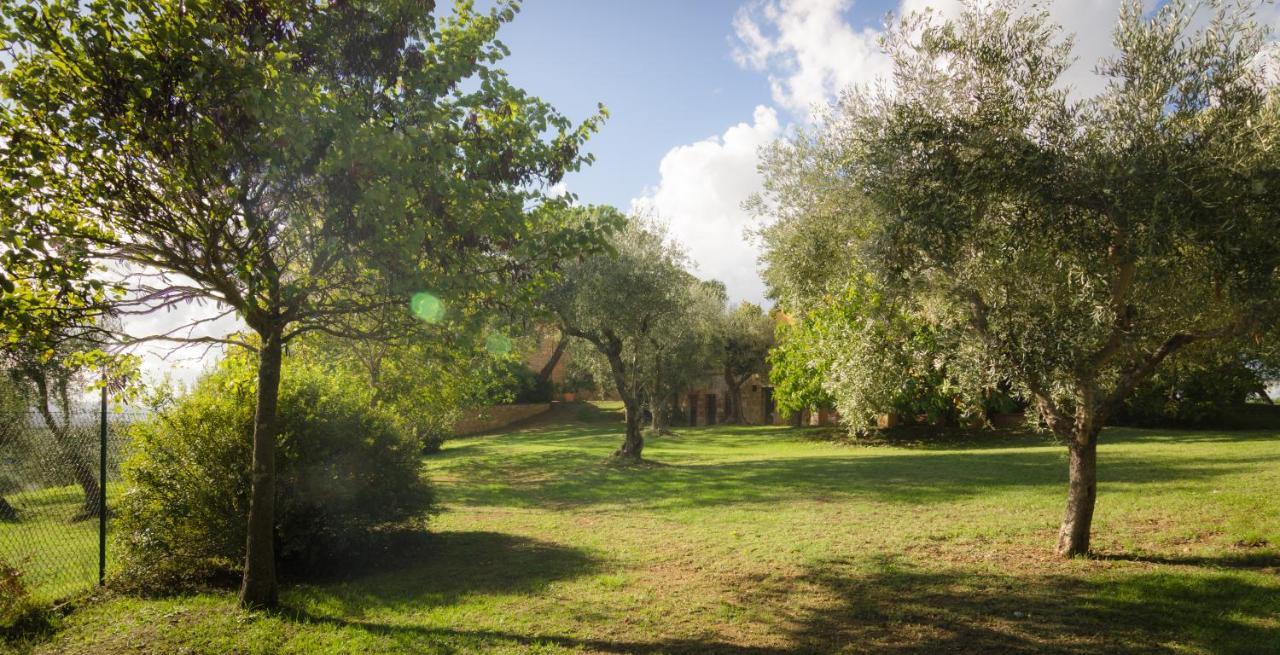 Holiday Home Arpicella Pienza Dış mekan fotoğraf