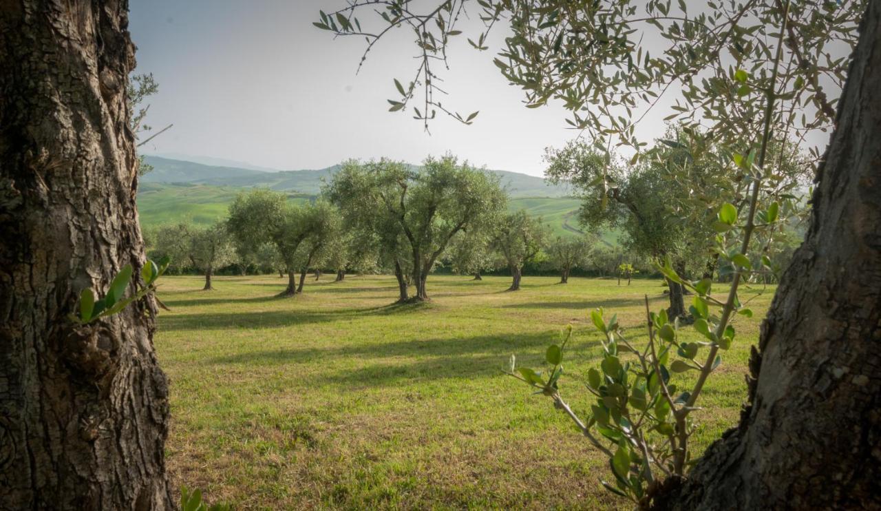 Holiday Home Arpicella Pienza Dış mekan fotoğraf